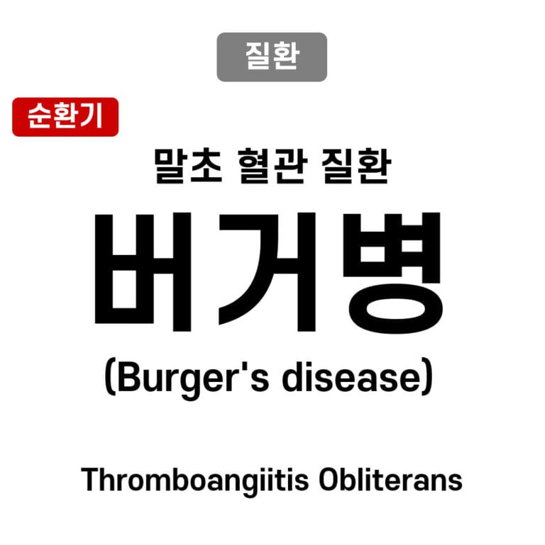 버거병 (Buerger’s Disease, Thromboangiitis Obliterans)