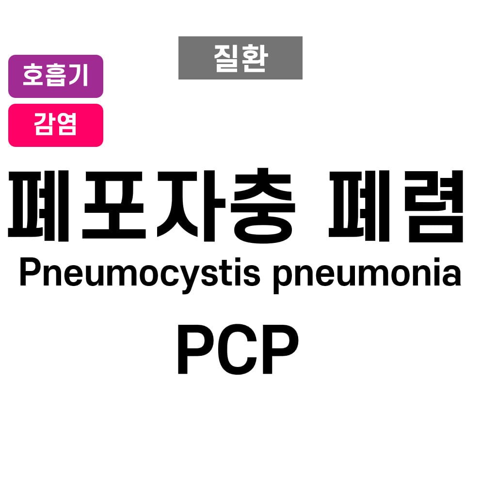 폐포자충 폐렴 (Pneumocystis pneumonia, PCP)