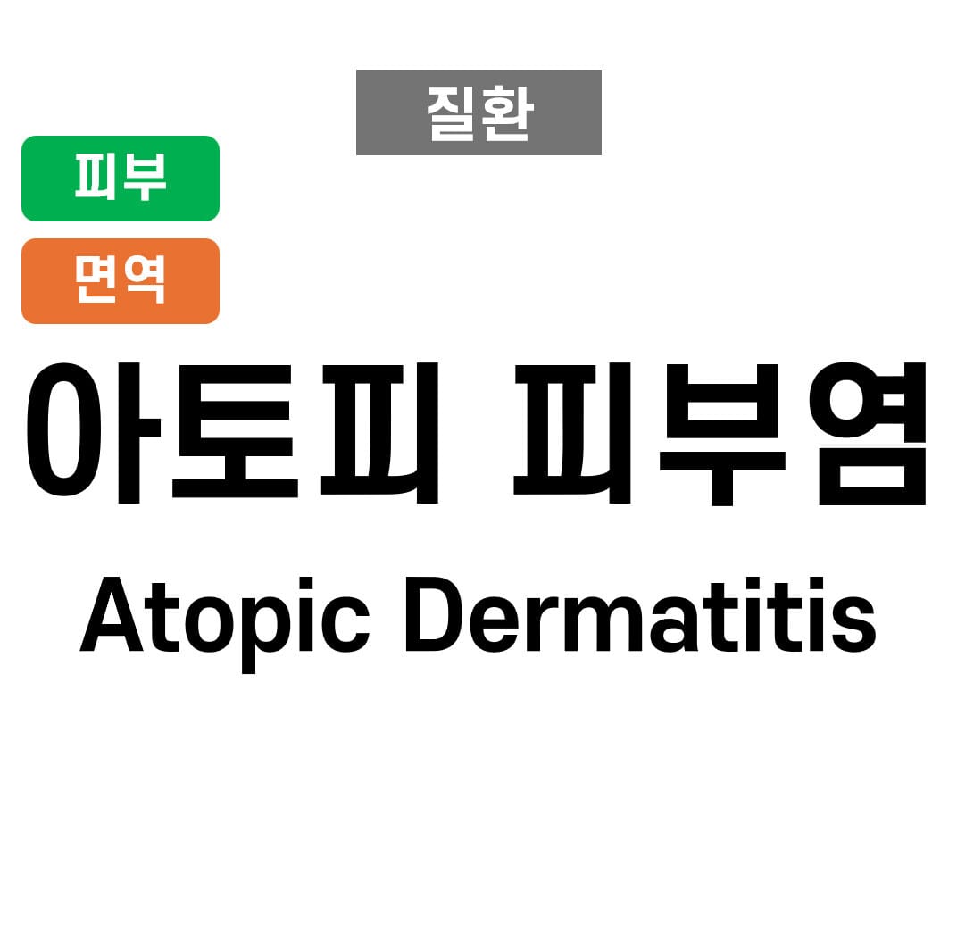 아토피 피부염 (Atopic Dermatitis)