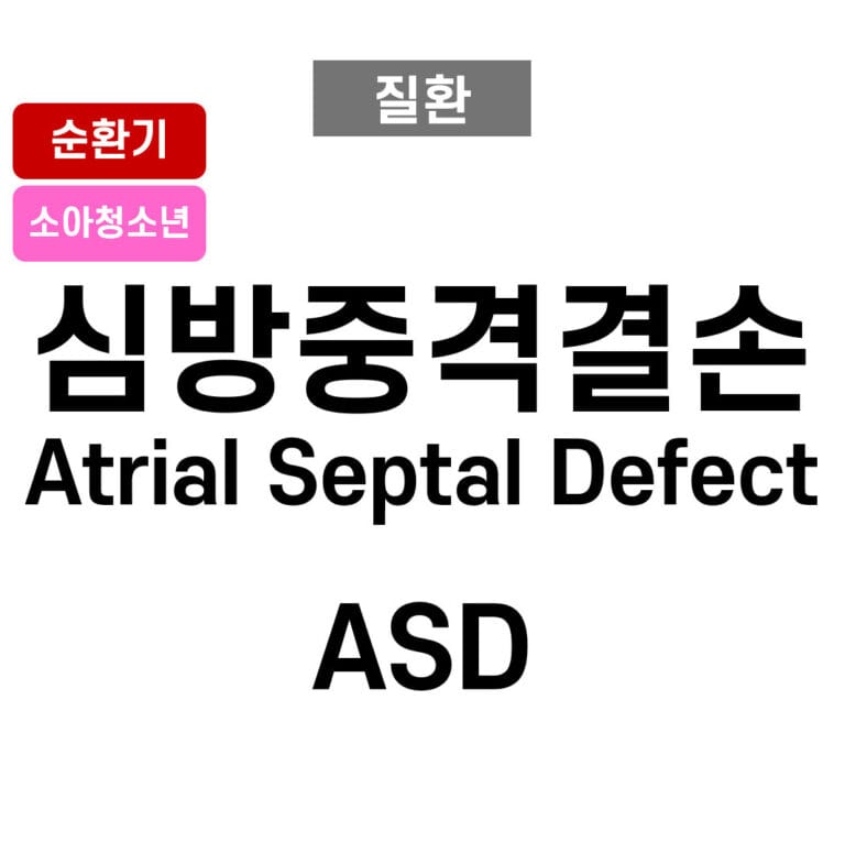 심방중격결손 (Atrial Septal Defect , ASD)