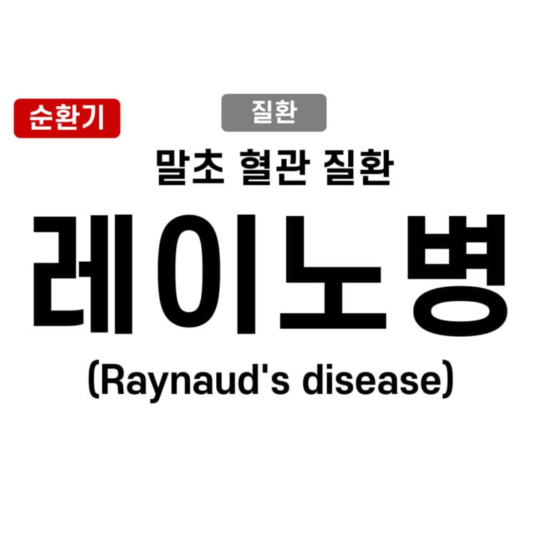 레이노드병 (Raynaud’s Disease / Raynaud’s Phenomenon)