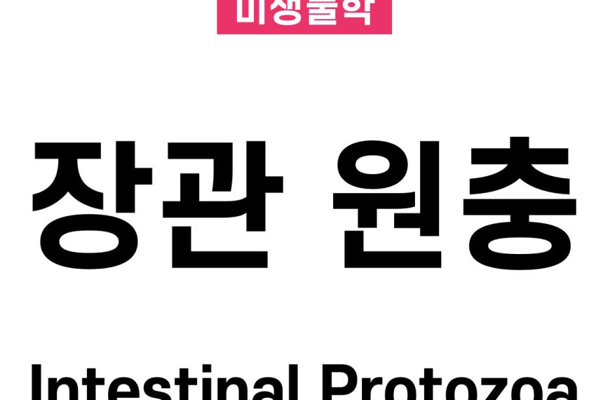 장관 원충(Intestinal Protozoa)