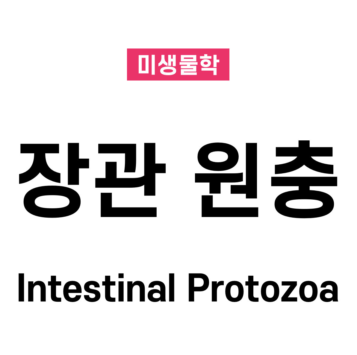 장관 원충(Intestinal Protozoa)