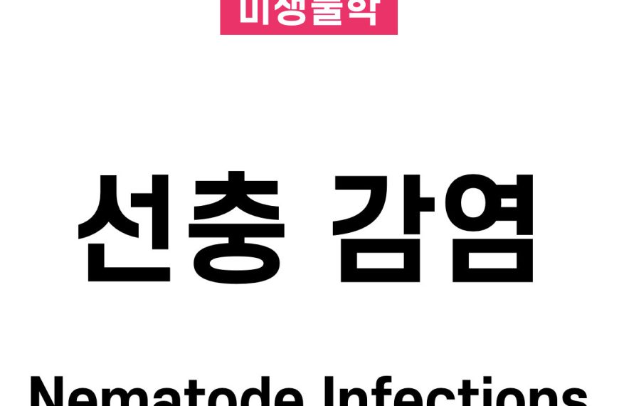 선충 감염(Nematode Infections)