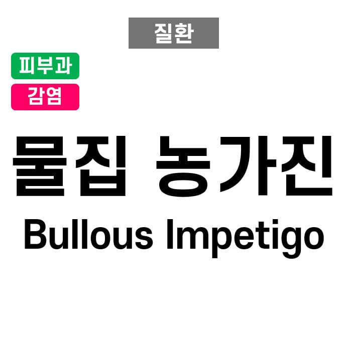 물집 농가진 (Bullous Impetigo)