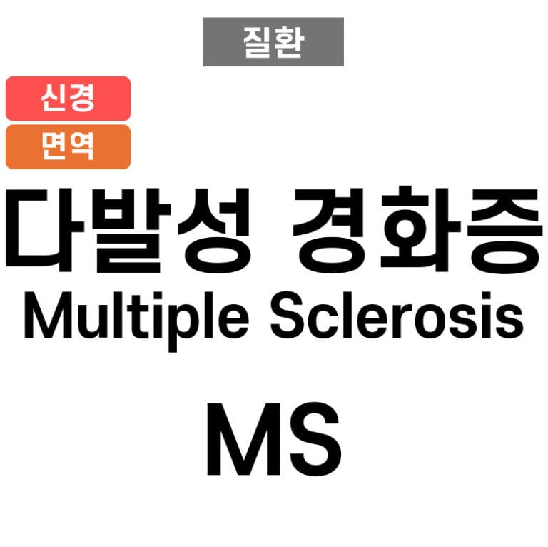 다발성 경화증 (Multiple Sclerosis)