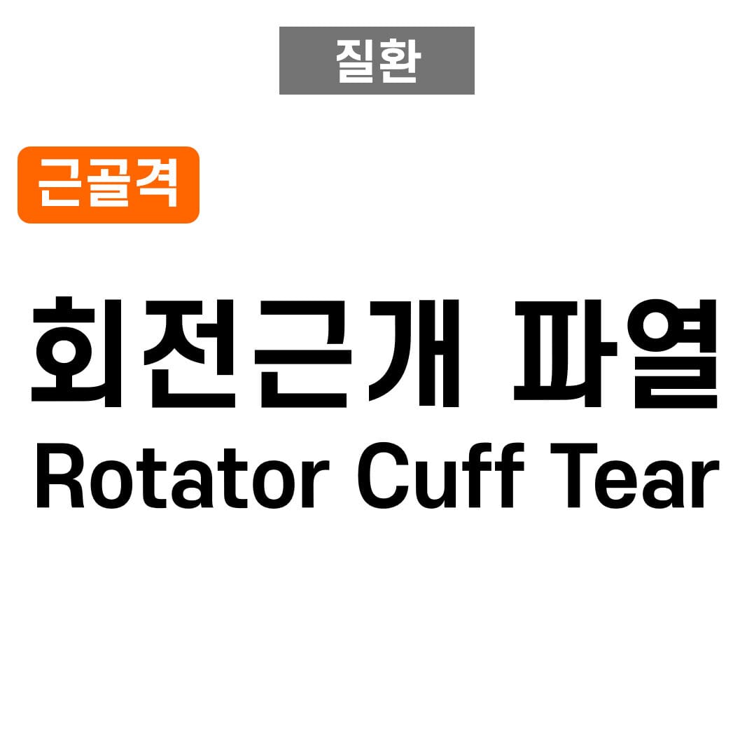 회전근개 파열 (Rotator Cuff Tear)