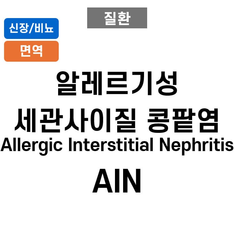 알레르기성 세관사이질 콩팥염 (Allergic Interstitial Nephritis, AIN)