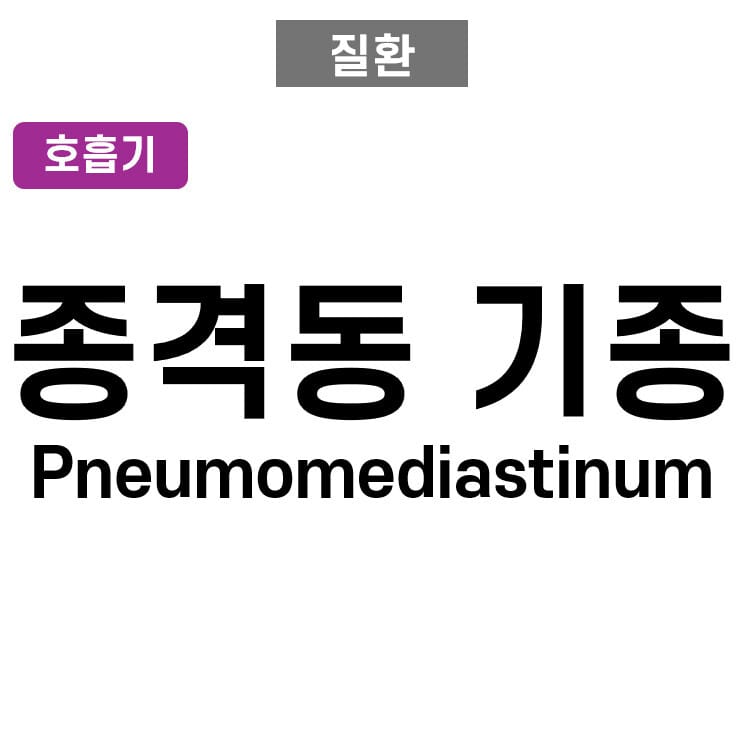 종격동 기종 (Pneumomediastinum)