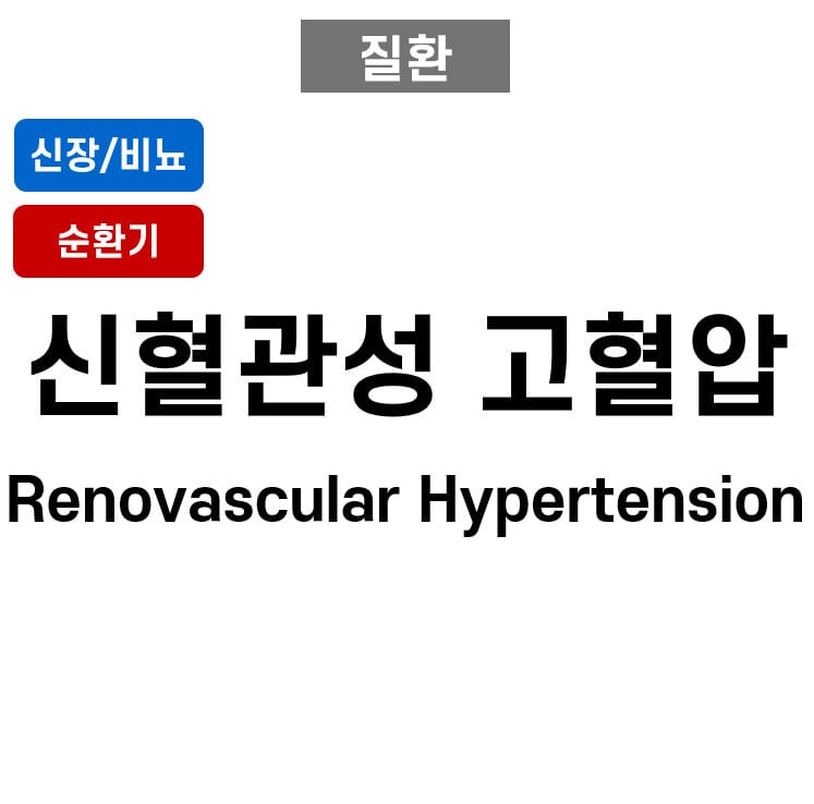 신혈관성 고혈압 (Renovascular Hypertension)