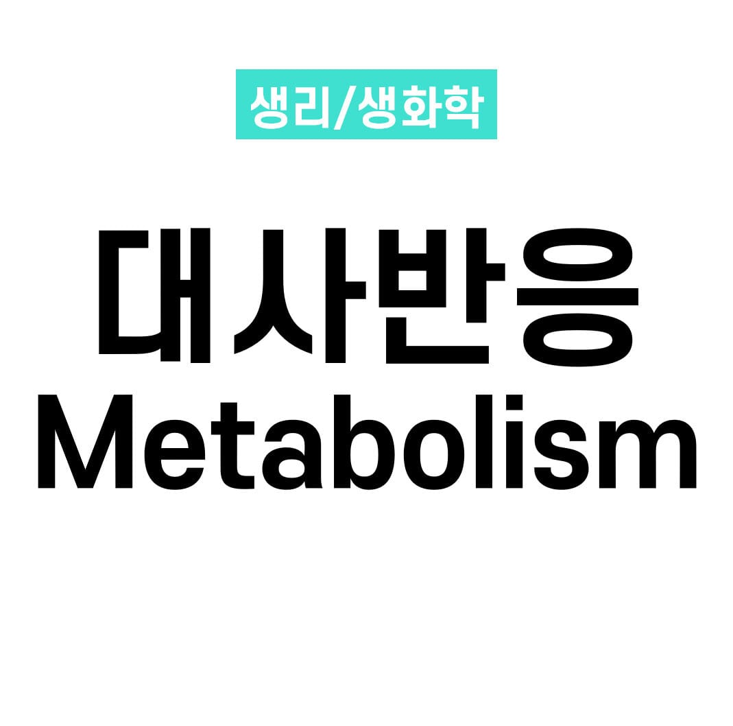 대사 작용(Metabolism)