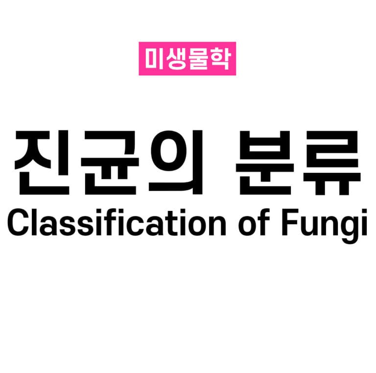 진균의 분류 (Classification of Fungi)