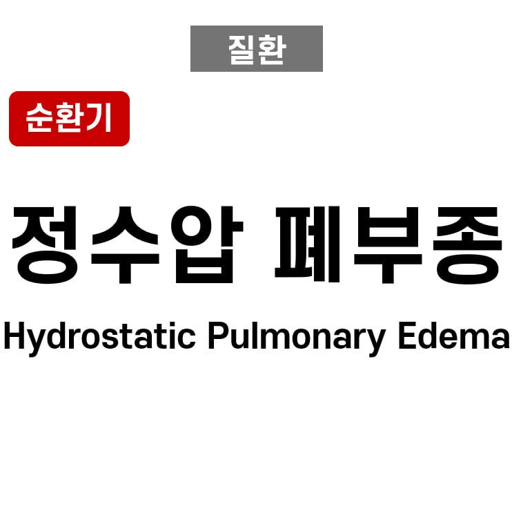 정수압 폐부종 (Hydrostatic Pulmonary Edema)