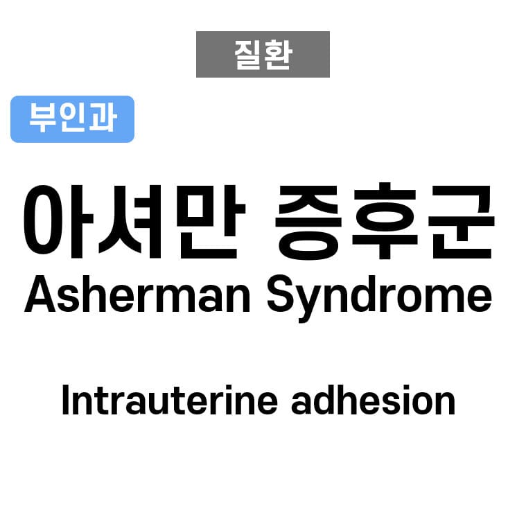 아셔만 증후군 / 자궁내막유착증 (Asherman Syndrome / Intrauterine adhesion)