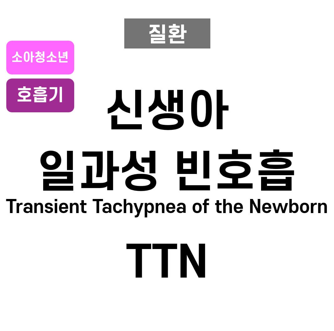 신생아 일과성 빈호흡 (Transient Tachypnea of the Newborn, TTN)
