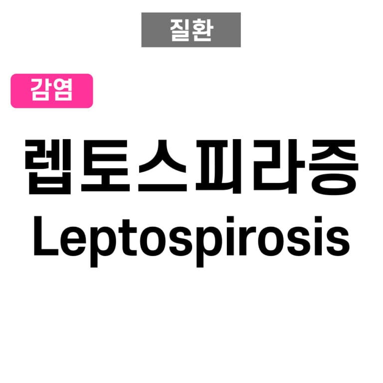 렙토스피라증 (Leptospirosis)