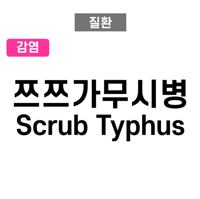 쯔쯔가무시병 (Scrub Typhus)