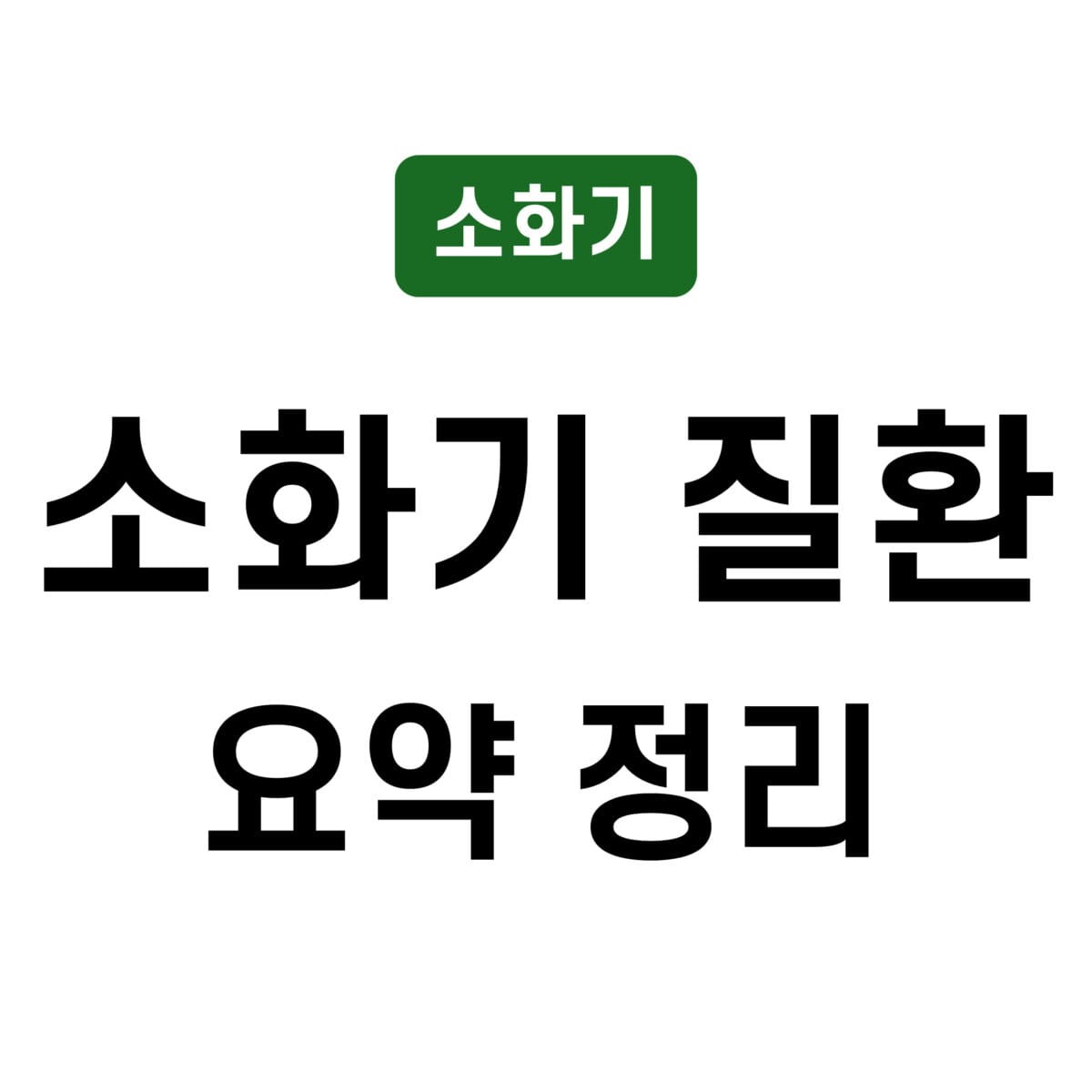 소화기 질환 요약