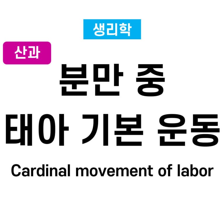 분만 중 태아 기본 운동 (Cardinal movement of labor)