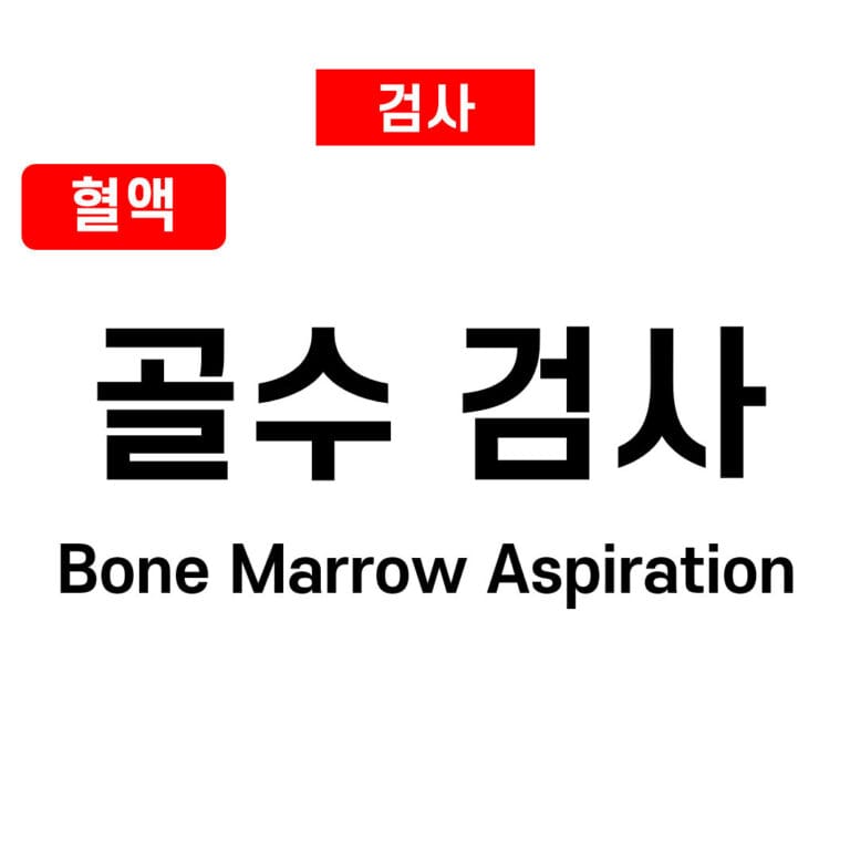 골수검사 (Bone Marrow Test)