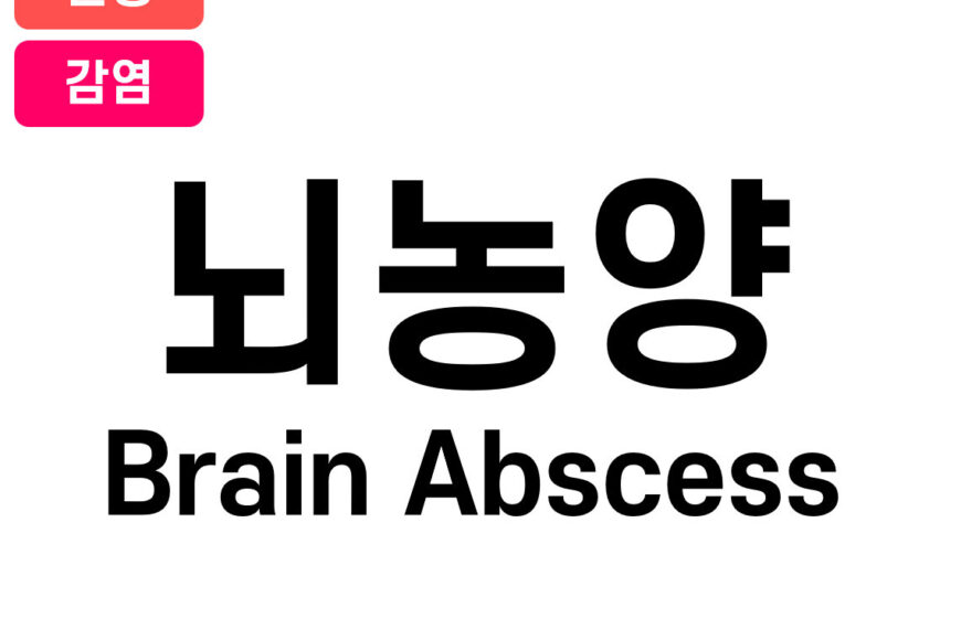 뇌농양(Brain Abscess)