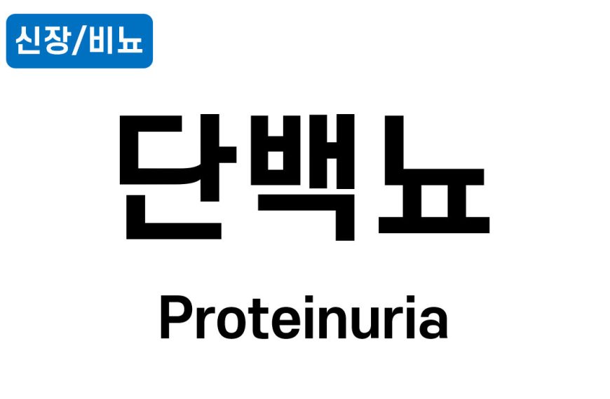 단백뇨 (Proteinuria)