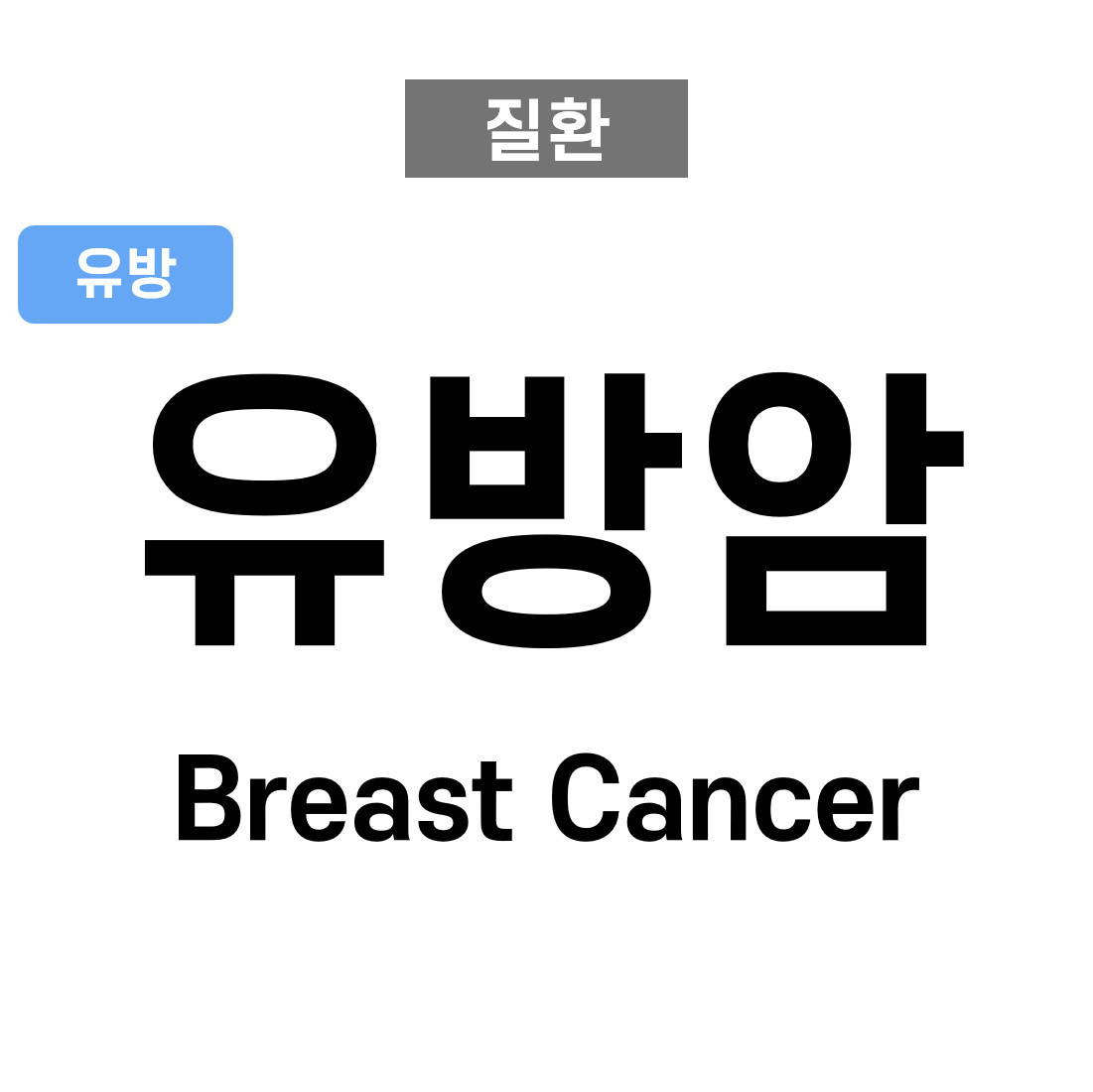 유방암(Breast Cancer)