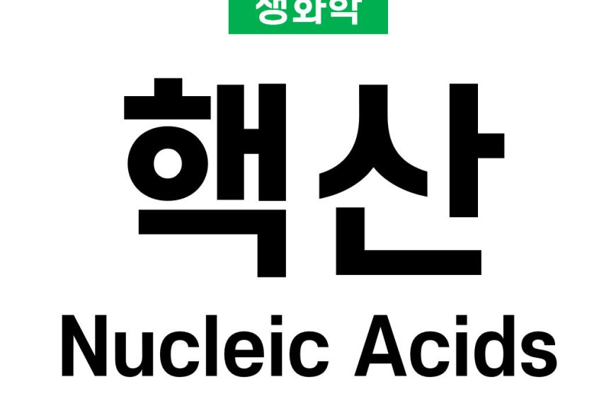 핵산 (Nucleic Acids)