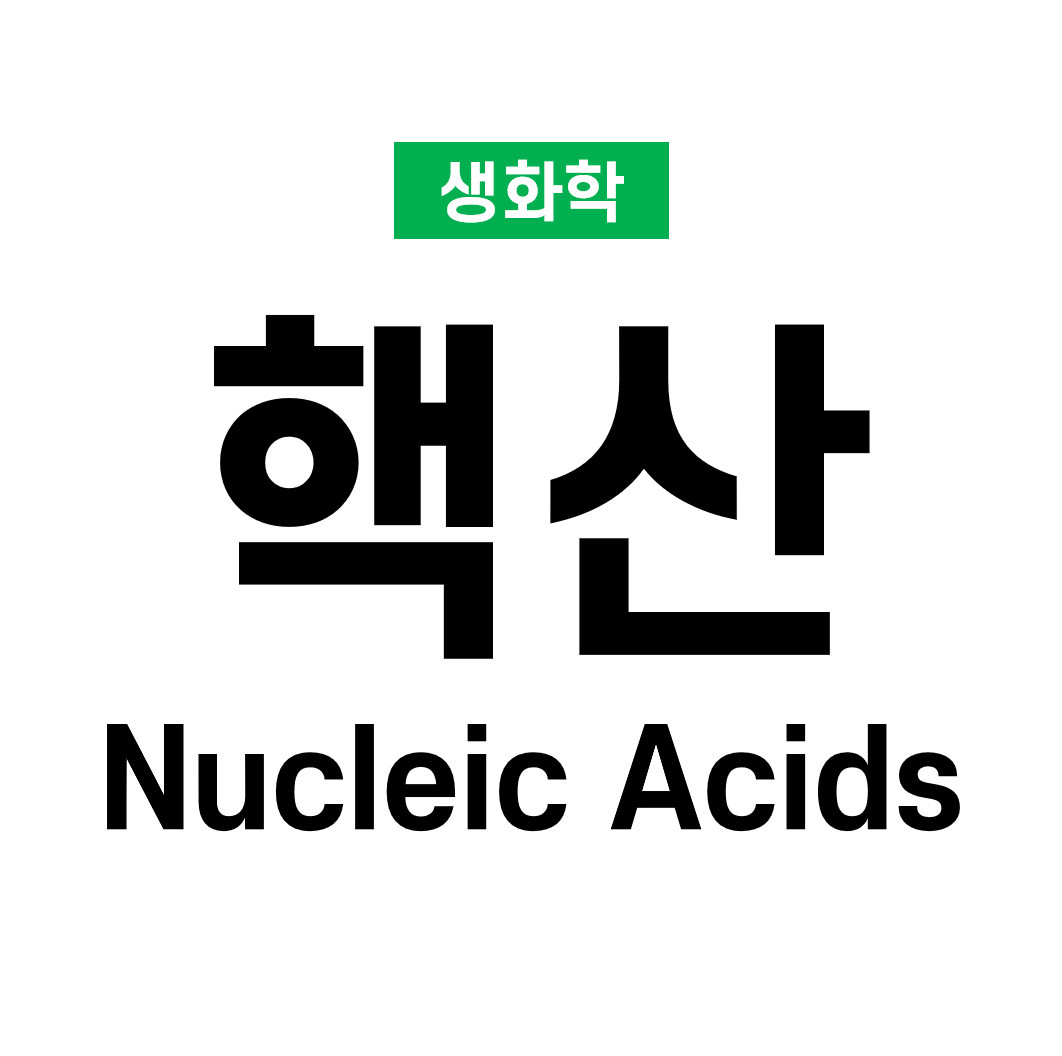 핵산 (Nucleic Acids)