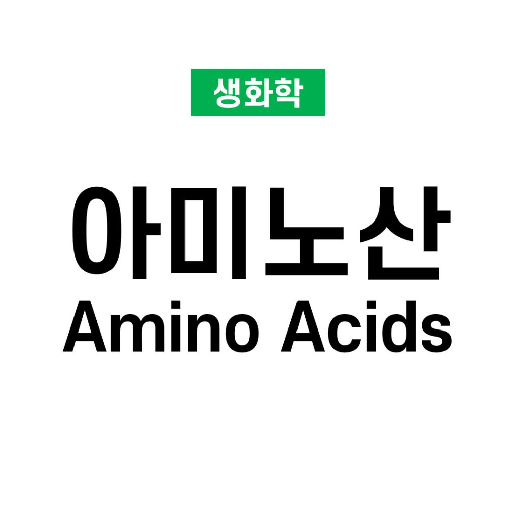 아미노산(Amino Acids)의 구조와 분류