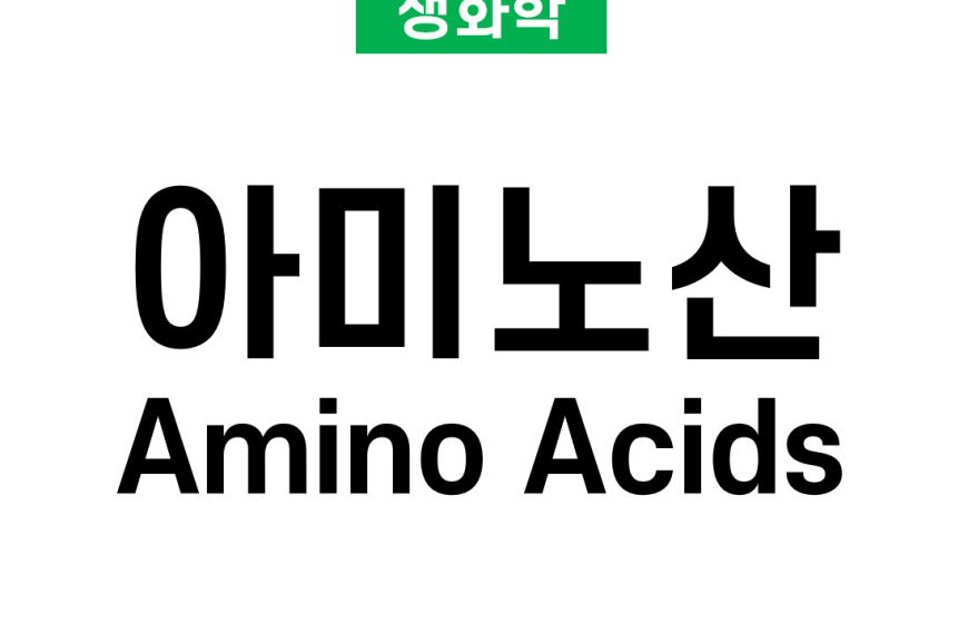 아미노산(Amino Acids)의 구조와 분류