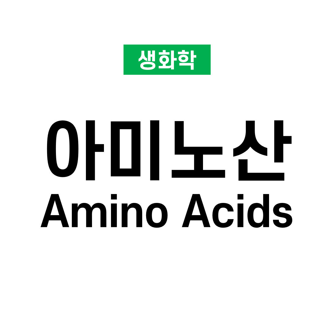 아미노산(Amino Acids)의 구조와 분류