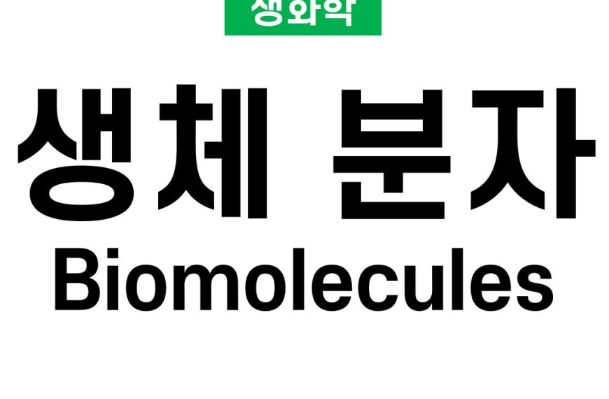 생체분자 (Biomolecules)