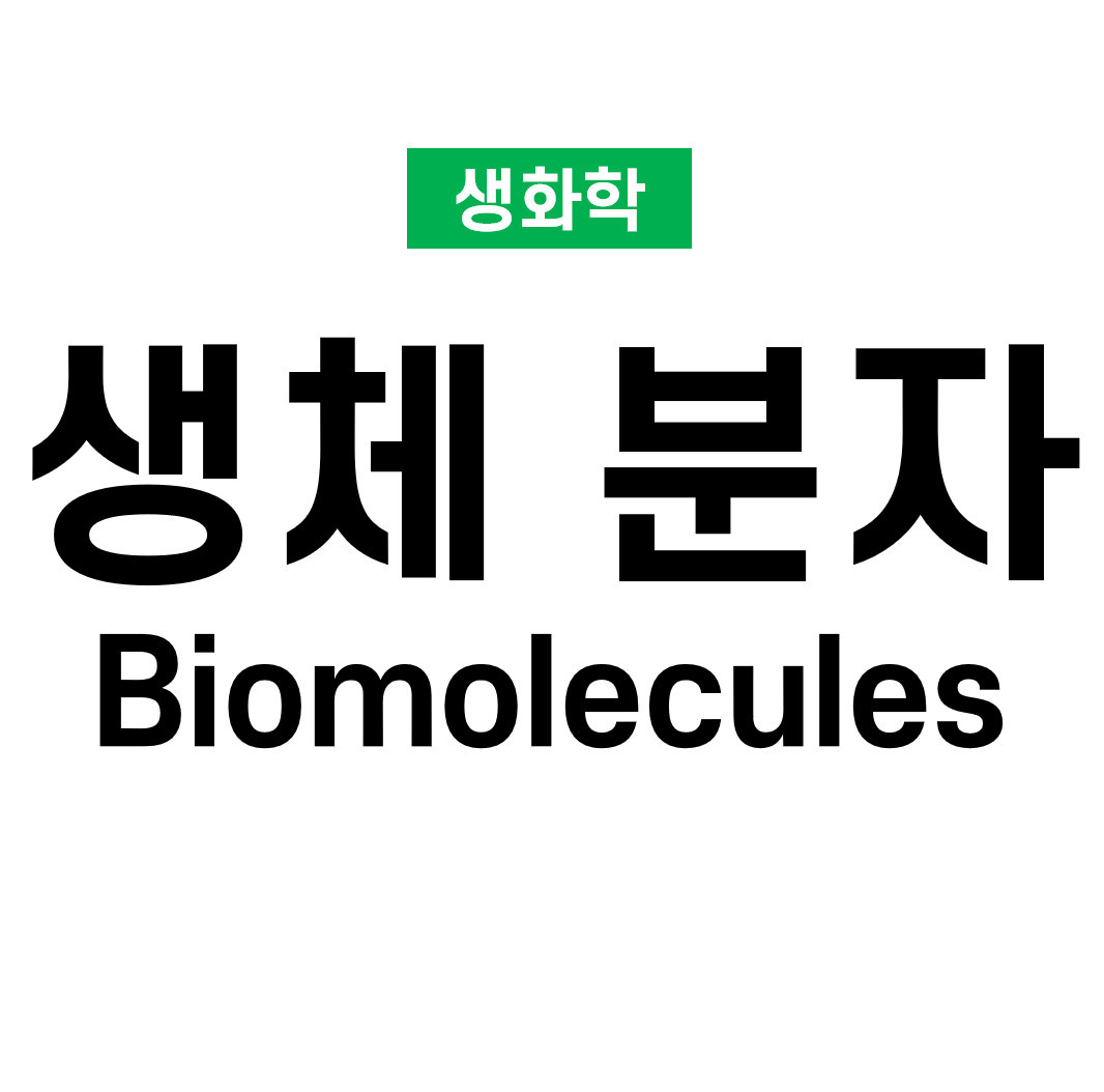 생체분자 (Biomolecules)