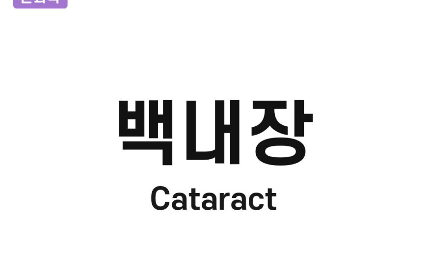 백내장(Cataract)