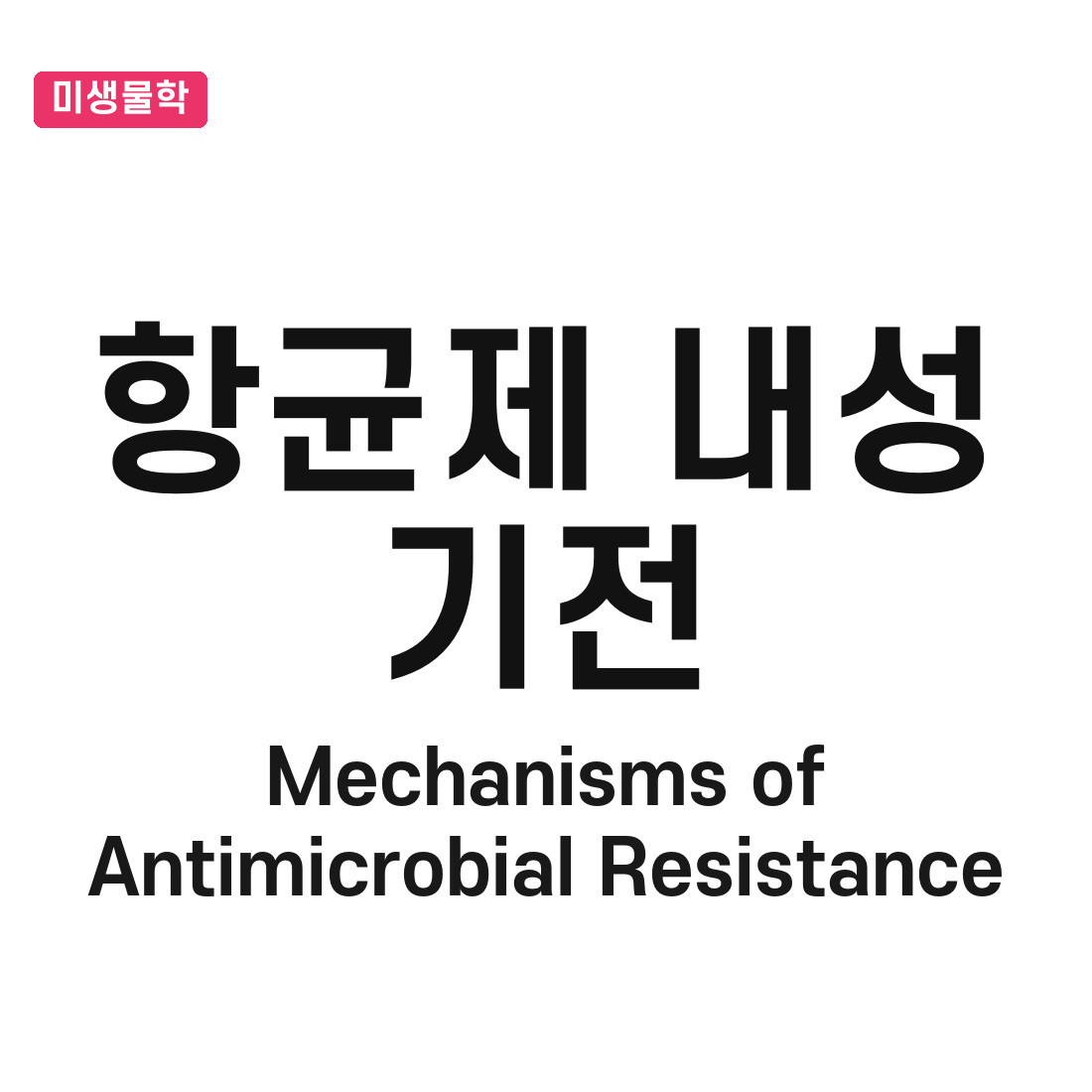 항균제 내성 기전(Mechanisms of Antimicrobial Resistance)