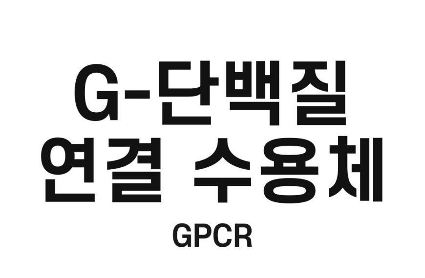 G-단백질 연결 수용체(GPCR)
