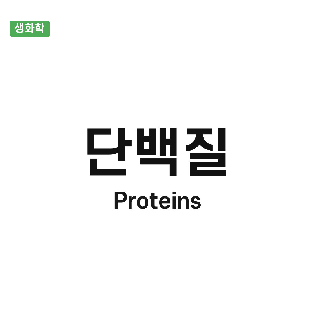 단백질(Proteins)