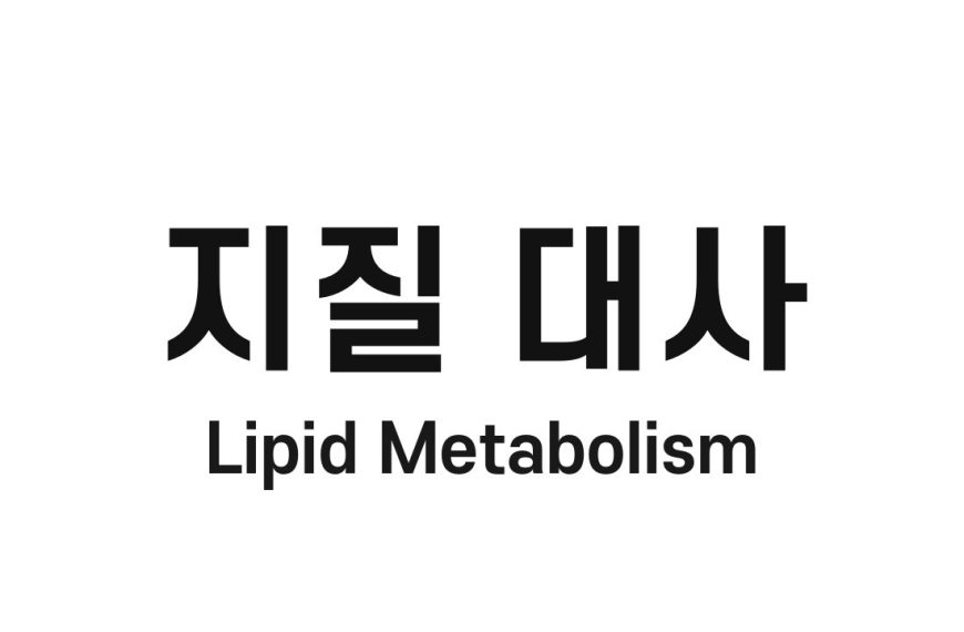 지질 대사(Lipid Metabolism)
