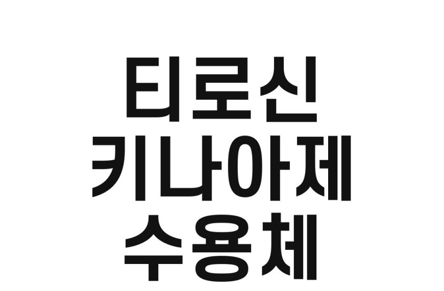 티로신 키나아제 수용체(Receptor Tyrosine Kinase)