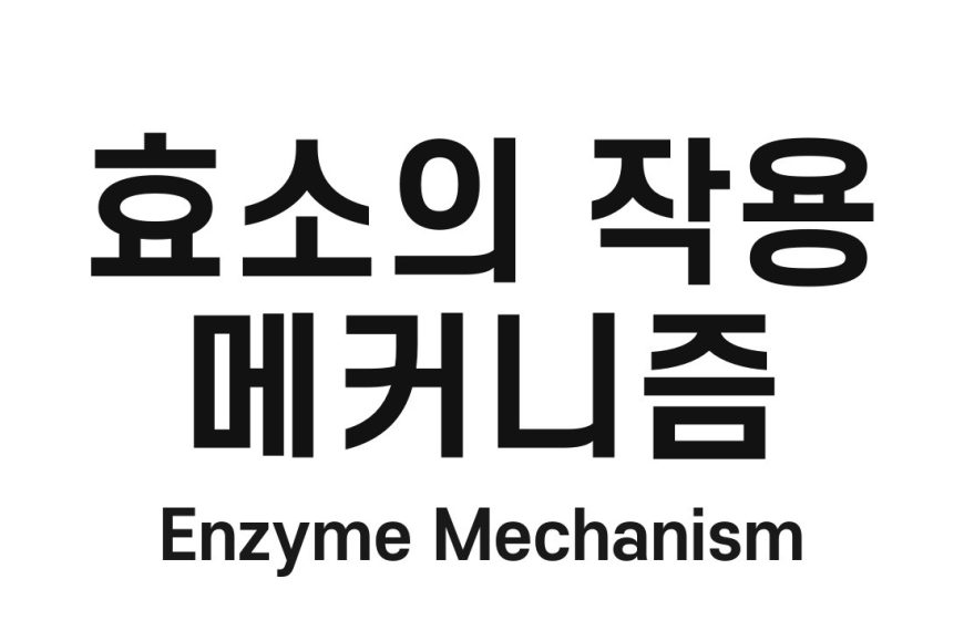효소의 작용 메커니즘(Enzyme Mechanism)