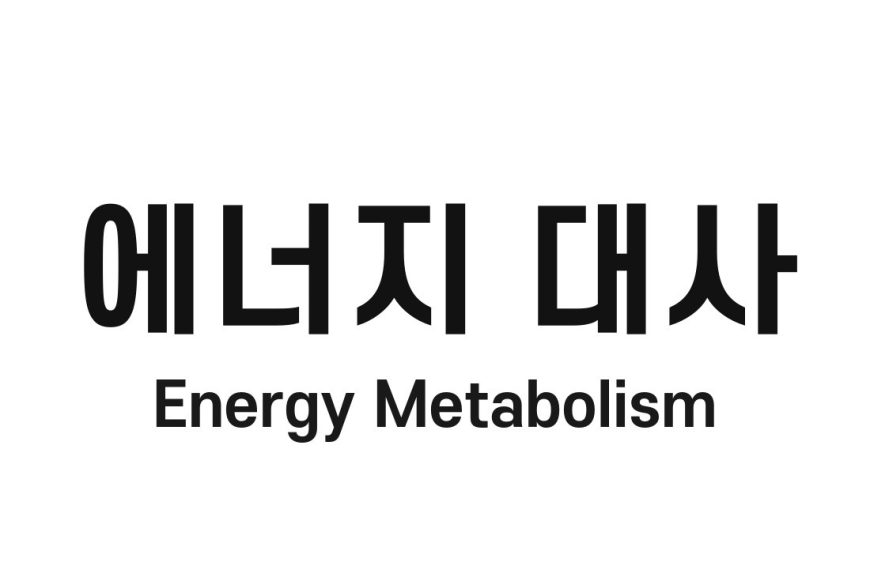 에너지 대사(Energy Metabolism)