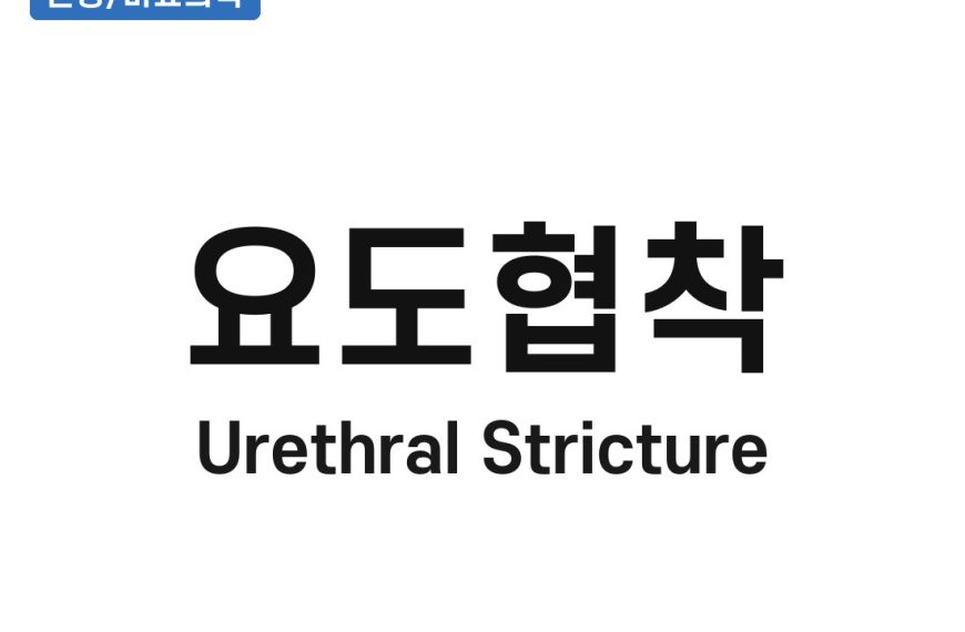 요도협착(Urethral Stricture)