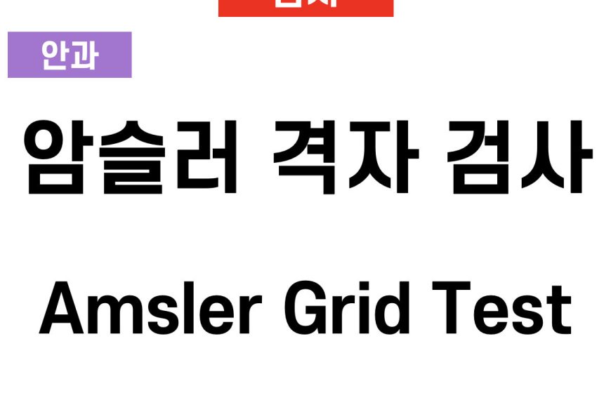 암슬러 격자 검사 (Amsler Grid Test)